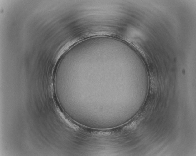 X0000071860890200607141812