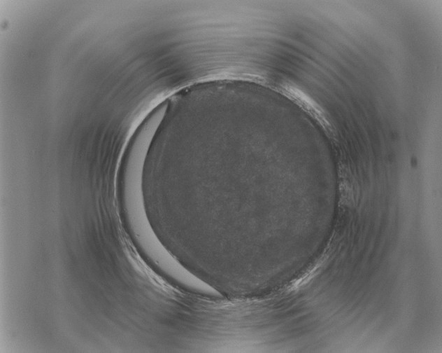 X0000071860892200607141812