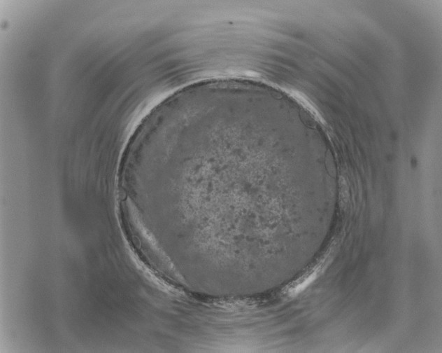 X0000071860895200607141812