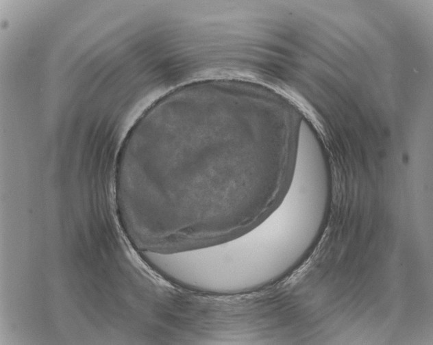 X0000071860896200607141812