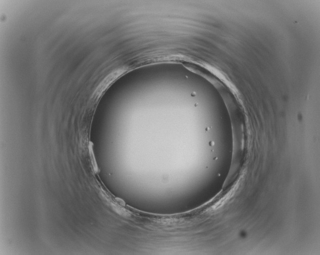 X0000071860897200607141812