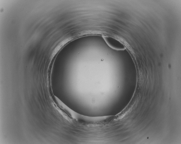 X0000071860898200607141812