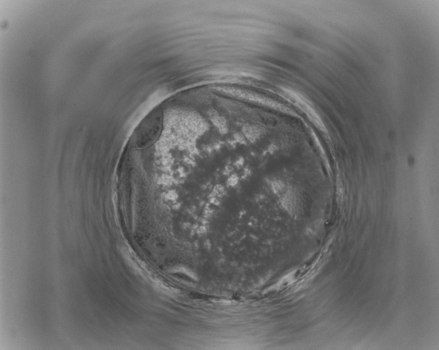 X0000071860899200607141812