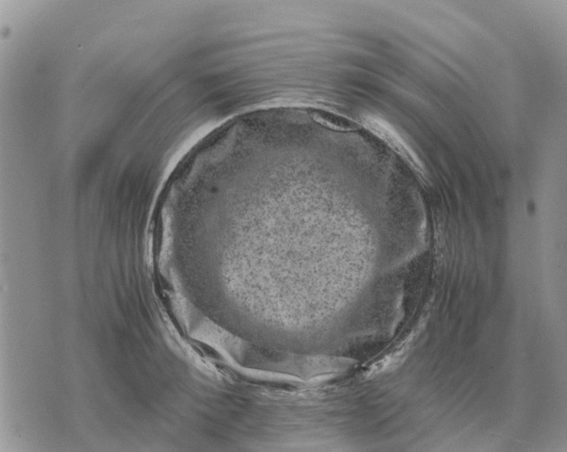 X0000071860900200607141812