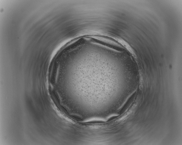 X0000071860904200607141812