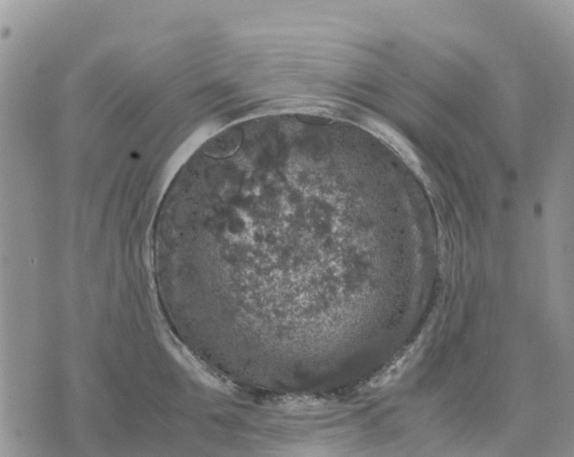 X0000071860907200607141812