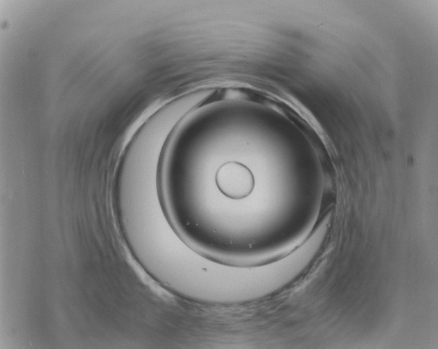 X0000071860909200607141812