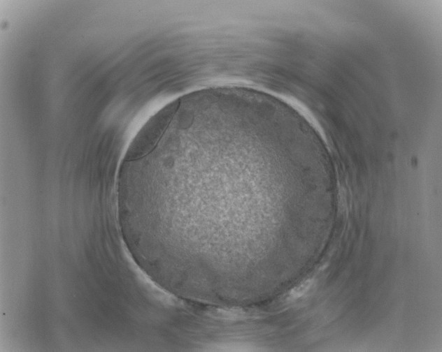 X0000071860911200607141812