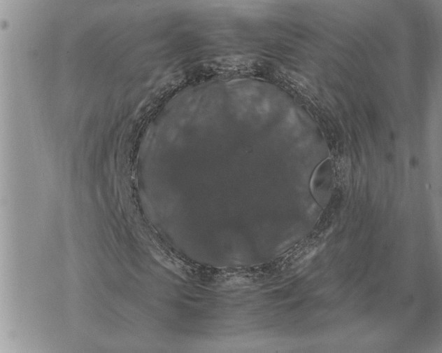 X0000071860913200607141811