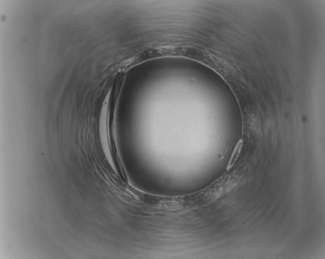 X0000071860914200607141811