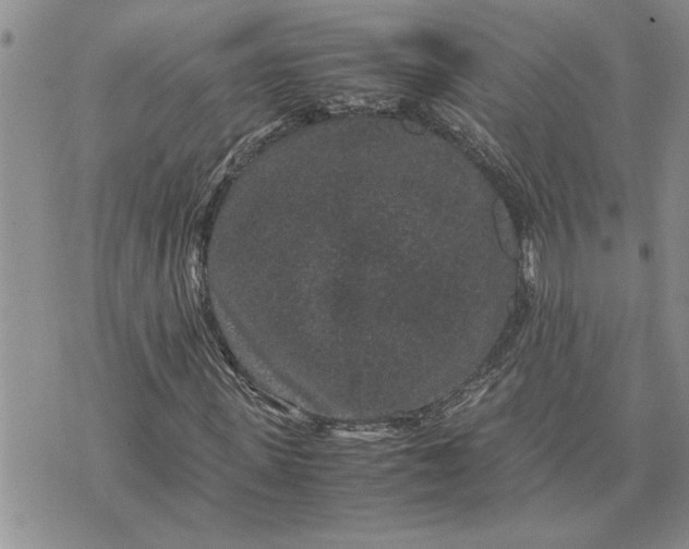 X0000071860915200607141811