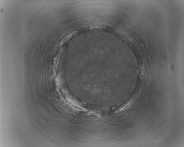 X0000071860916200607141811