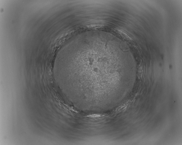 X0000071860917200607141811