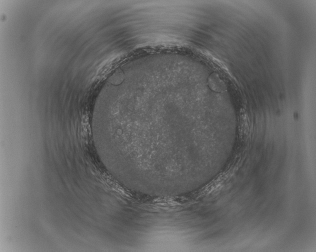 X0000071860918200607141811