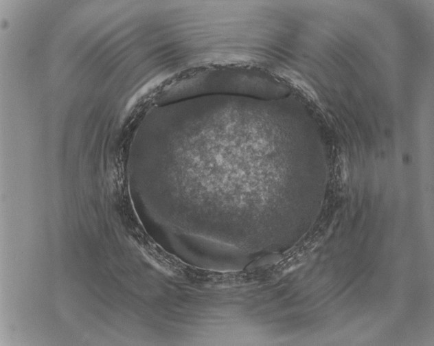 X0000071860920200607141811