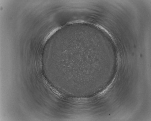 X0000071860921200607141811