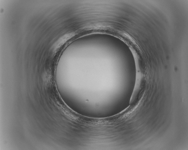 X0000071860922200607141811