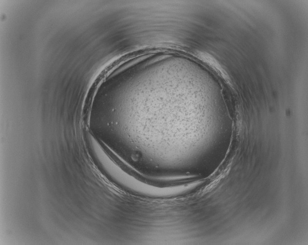 X0000071860924200607141811