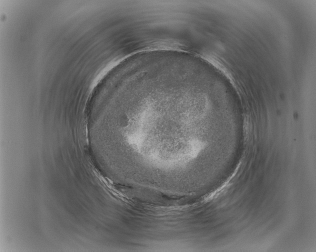 X0000071860925200607141811