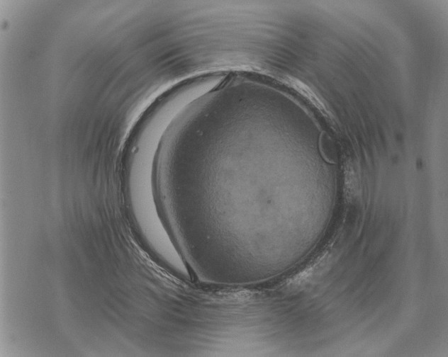 X0000071860926200607141811