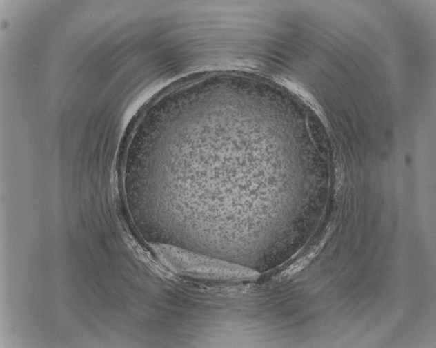 X0000071860928200607141811