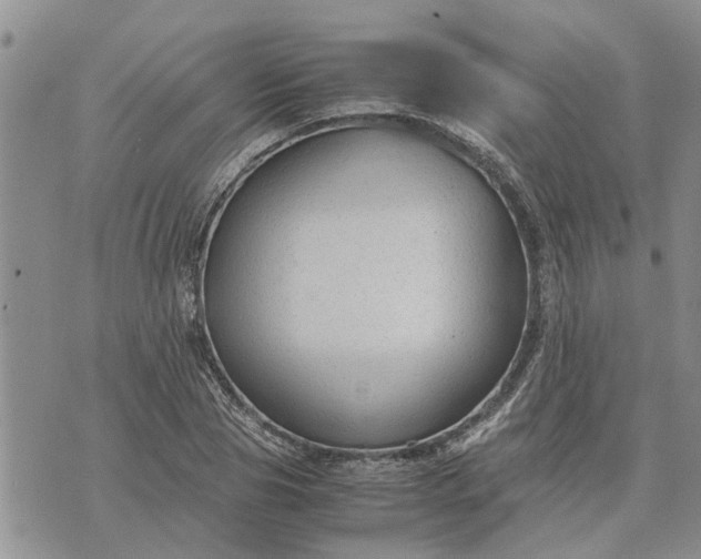 X0000071860929200607141811