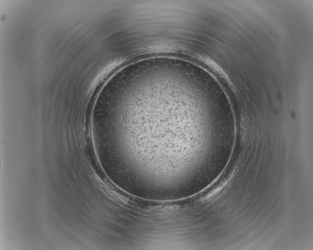 X0000071860930200607141811