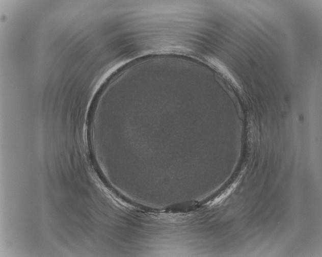 X0000071860932200607141811