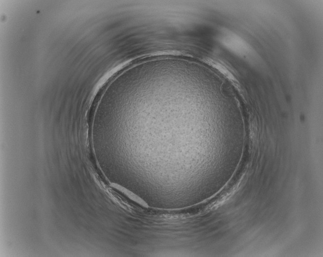 X0000071860933200607141811