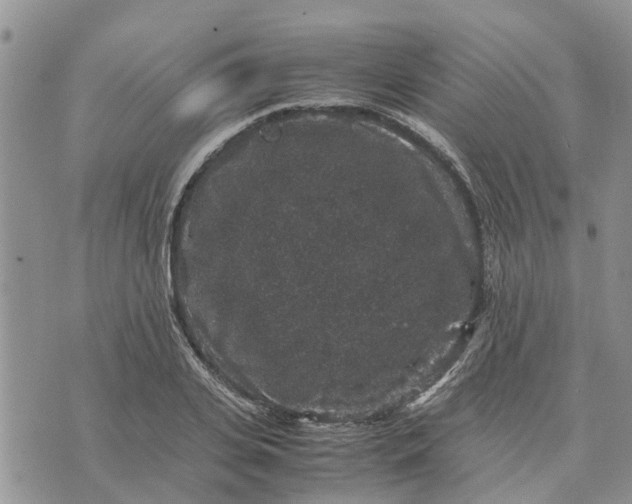 X0000071860935200607141811