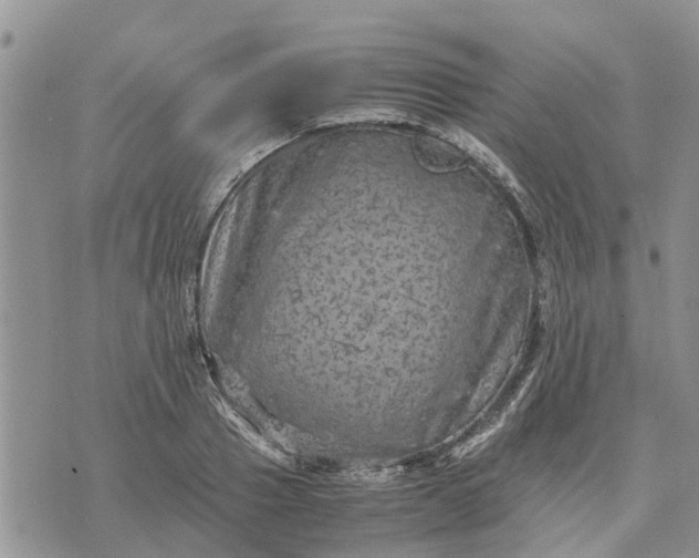 X0000071860937200607141811