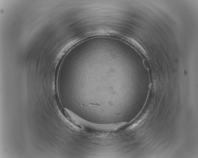 X0000071860938200607141811