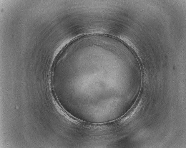 X0000071860941200607141811