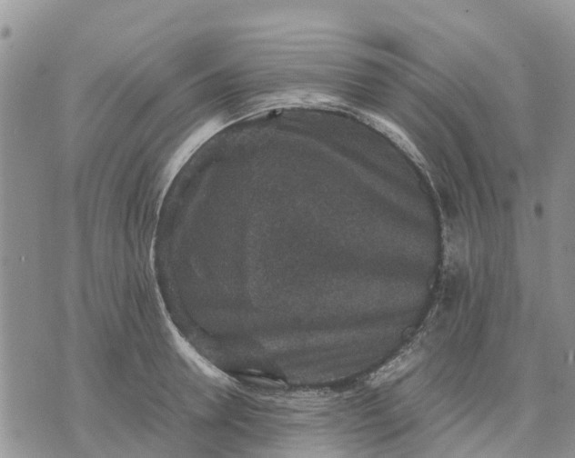 X0000071860946200607141812