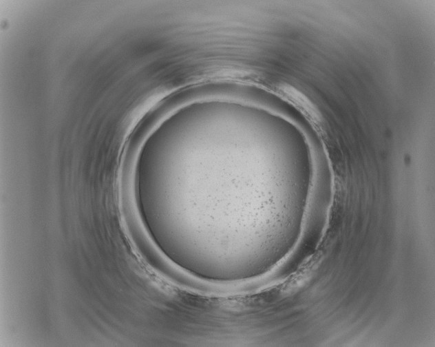 X0000071860948200607141812