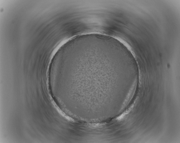 X0000071860949200607141812