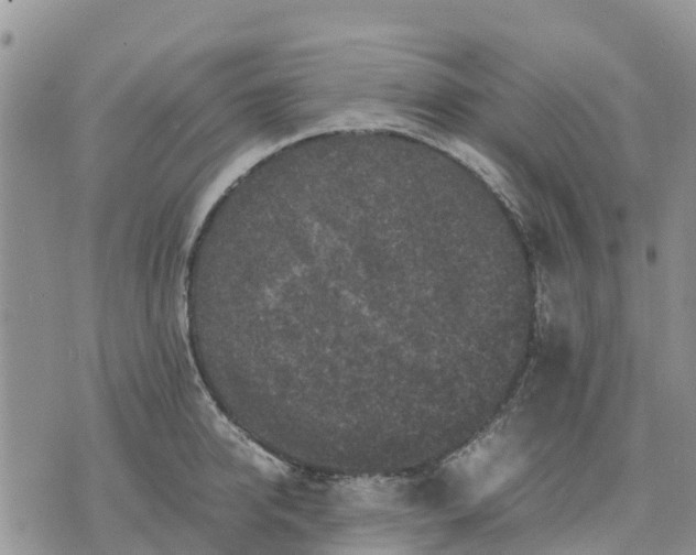 X0000071860950200607141812