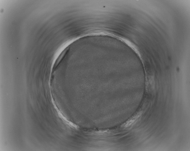 X0000071860951200607141812