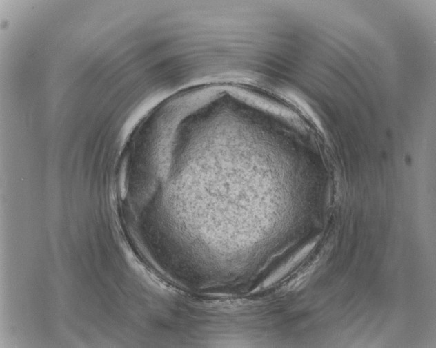 X0000071860952200607141812