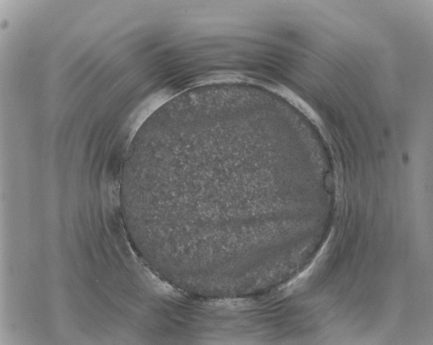 X0000071860953200607141812