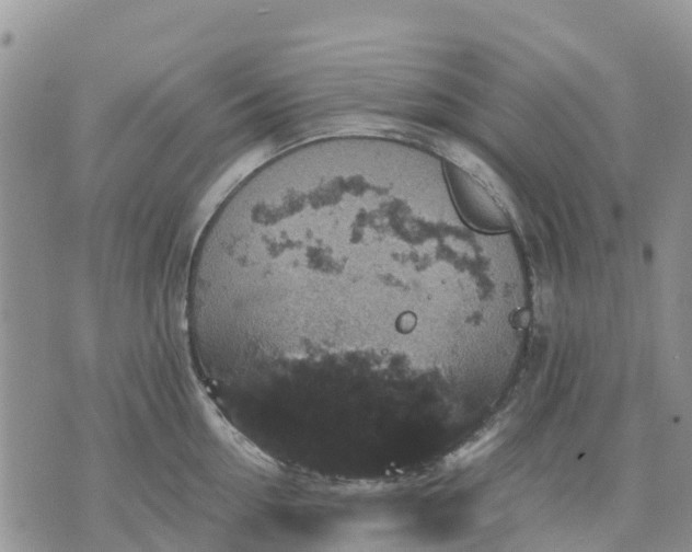 X0000071860954200607141812