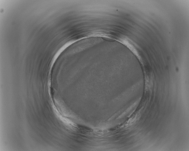 X0000071860955200607141812