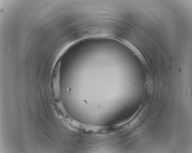 X0000071860956200607141812