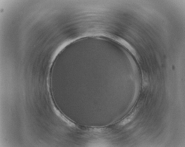 X0000071860958200607141812