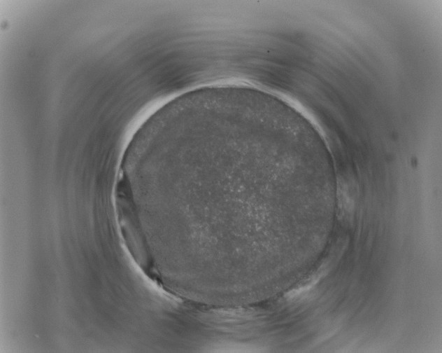 X0000071860959200607141812