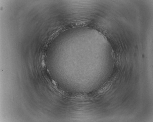 X0000071860962200607141811