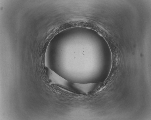 X0000071860965200607141811