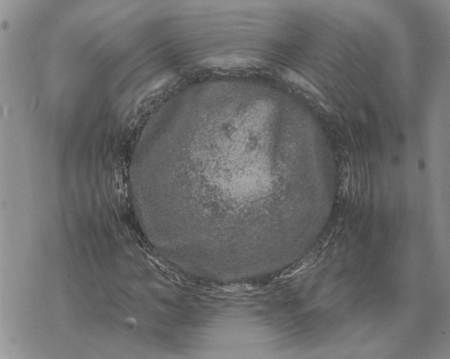 X0000071860966200607141811