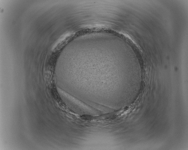 X0000071860967200607141811