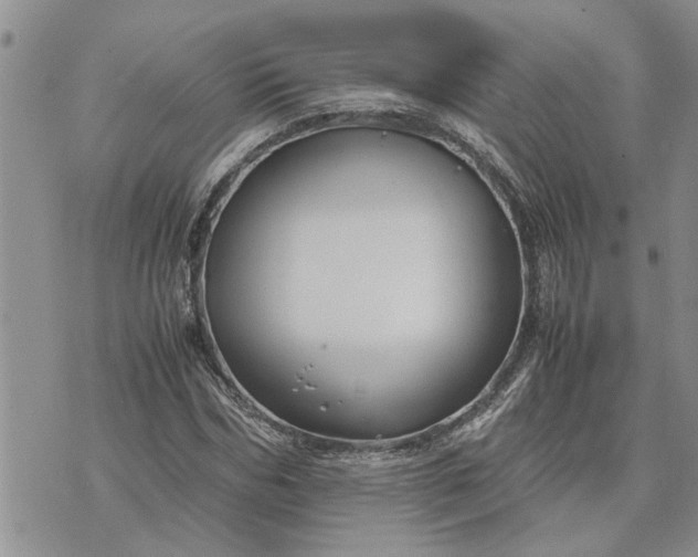 X0000071860970200607141811